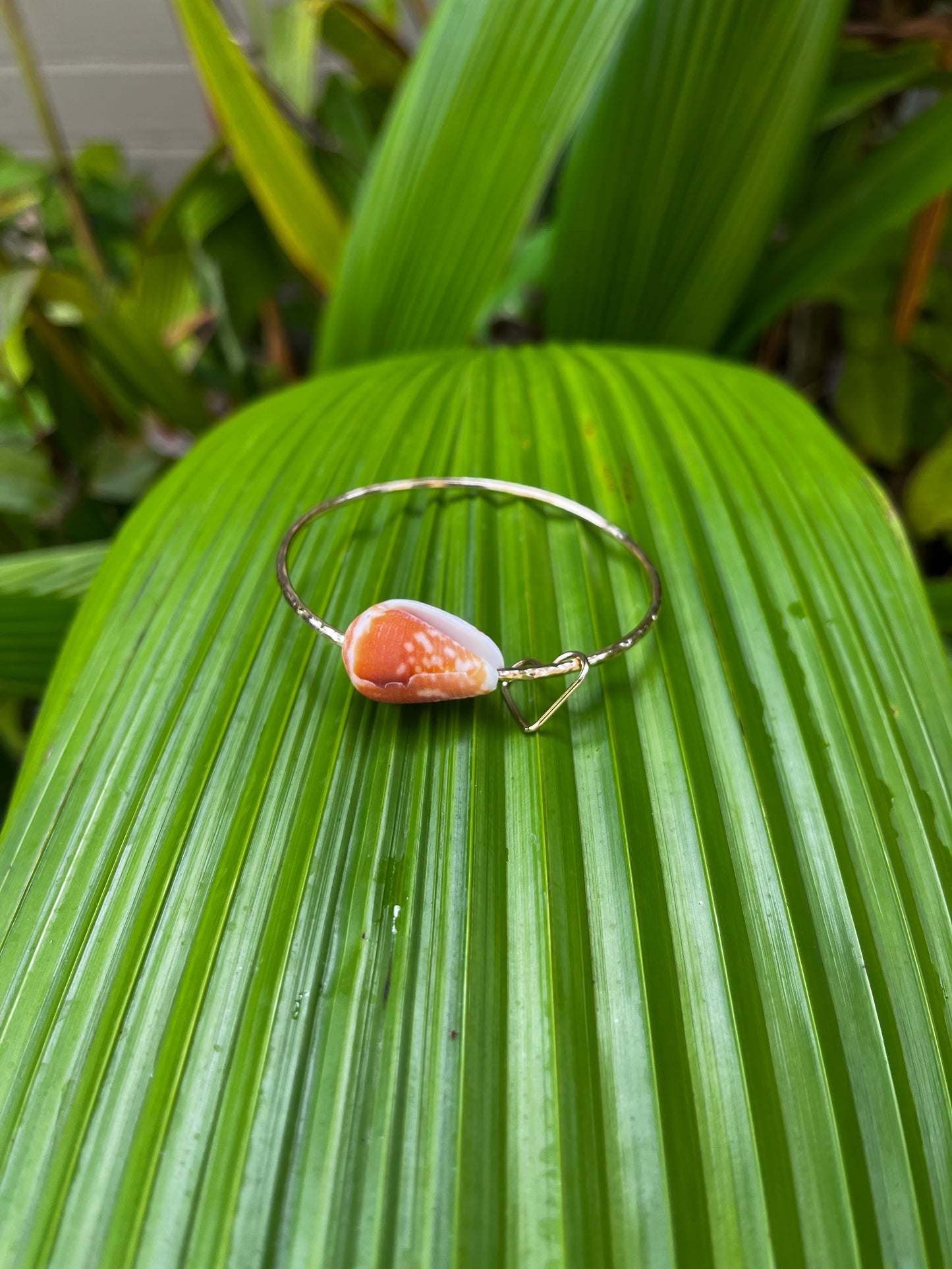 Shell Hawaiian Bangle